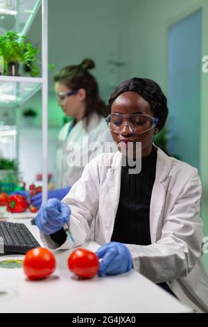 Nahaufnahme eines Chemikers, der organische Tomaten mit Pestiziden für den gvo-Test injiziert. Biochemiker arbeitet in der Pharmakologie Labor testen Gesundheit Lebensmittel für mikrobiologische Expertise. Stockfoto