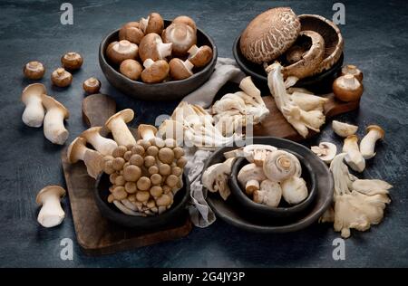 Auswahl an rohen Pilzen auf dunklem Hintergrund. Vegane Lebensmittel koknept. Stockfoto