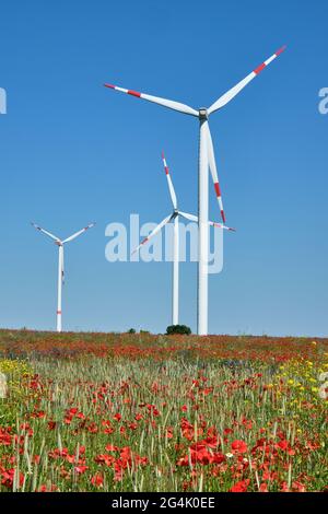 Windturbinen und rote Mohnblumen in Deutschland Stockfoto