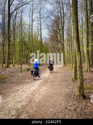 Zwei ältere kaukasische Menschen, die im Sonischen Wald, in der Nähe des belgischen Brüsseler Aera, Fahrrad fahren Stockfoto