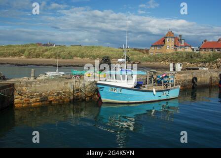 Angelboote in Beadnell Harbor, Northumberland UK, Stockfoto