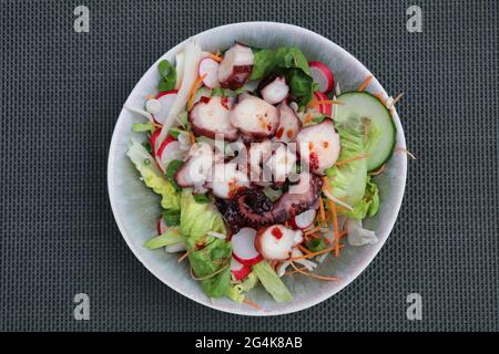 Gemischter Salat mit Scheiben marinierter Kraken-Tentakeln und einem würzigen Dressing Stockfoto