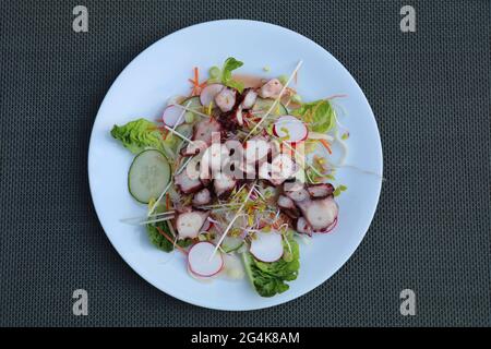 Gemischter Salat mit Scheiben marinierter Kraken-Tentakeln und einem würzigen Dressing Stockfoto