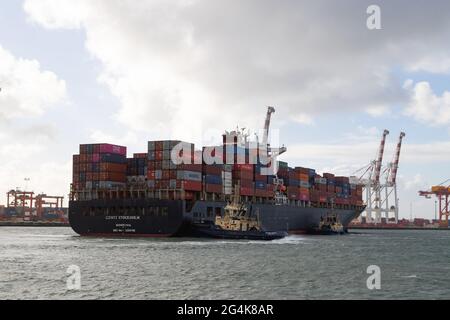 Conti Stockholm bei Ankunft in Fremantle, WA. Stockfoto