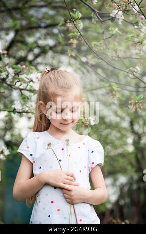 Kleines Mädchen in einem Frühlingsgarten mit weißen Dandelionen in ihren Händen Stockfoto