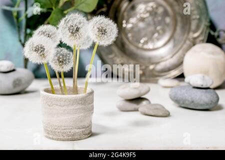 Stillleben mit blühenden flauschigen Dandelions-Blüten in handgefertigter Keramik Topf mit glatten Steinen und Metallplatte über weißem Marmor Tabelle Stockfoto