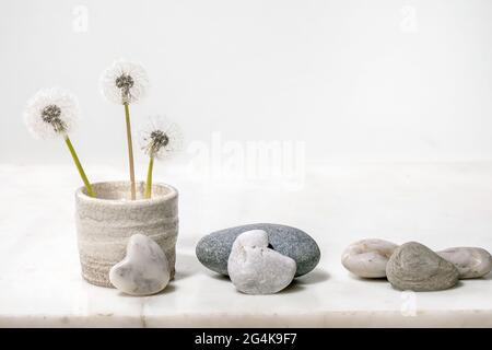 Stillleben mit blühenden flauschigen Dandelions-Blüten in handgefertigter Keramik Topf mit glatten Steinen auf weißem Marmor Hintergrund Leichtigkeit Reinheit Konzept Stockfoto