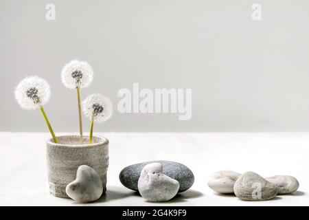 Stillleben mit blühenden flauschigen Dandelions-Blüten in handgefertigter Keramik Topf mit glatten Steinen auf weißem Marmor Hintergrund Leichtigkeit Reinheit Konzept Stockfoto