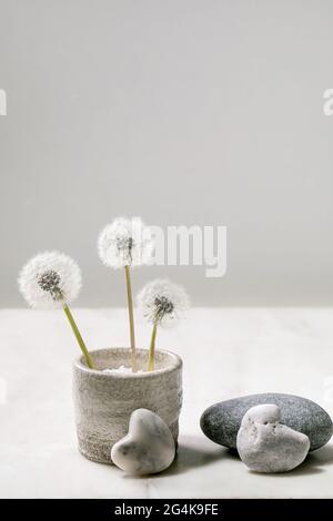 Stillleben mit blühenden flauschigen Dandelions-Blüten in handgefertigter Keramik Topf mit glatten Steinen auf weißem Marmor Hintergrund Leichtigkeit Reinheit Konzept Stockfoto