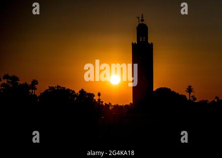 Skyline bei Sonnenuntergang, Djemaa el Fna Platz, Marrakesch, Marokko, Nordafrika, Afrika Stockfoto