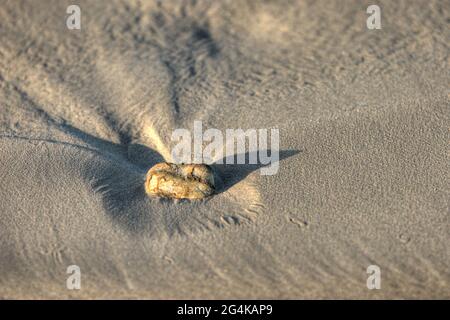 Einsames Kies lassen einen Gezeitenweg an einem schönen Sandstrand in der Bretagne Stockfoto