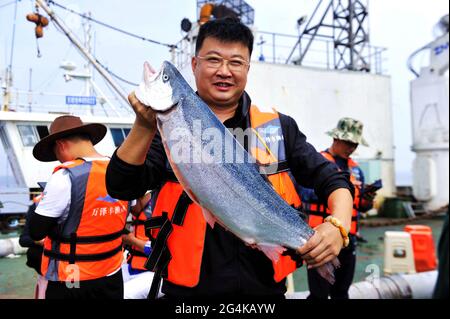 22. Juni 2021, Qingdao, Qingdao, China: Am 21. Juni erntete die Tiefseefischerei ''Deep Blue No. 1'' Lachs im ''Cold Water Mass''-Gebiet, 120 Seemeilen von der Stadt Qingdao entfernt, in den Tiefen des Gelben Meeres, offiziell Fisch, Und ein Schwanz von kommerziellem Lachs von 5 bis 7 Kilogramm wurde unter Unterdruck-Luftansaugung in die Landwirtschaft gebracht. Der verarbeitete und gekühlte frische Lachs in der industriellen Schiffsverarbeitungswerkstatt entspricht den EU-Exportstandards und kann innerhalb von 12 Stunden unter der Kühlkette für die Bürger des Qingdao West Coast New Area auf dem Tisch stehen. Die Erntekapazität des Tages erreichte m Stockfoto