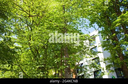 Apartmentgebäude vor blauem Himmel. Stockfoto