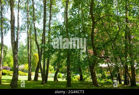 Ansicht der Swetlogorsk (Oblast Kaliningrad), Russland. Stockfoto