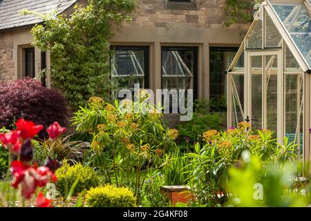 Sommer in einem schottischen Garten Stockfoto