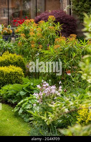 Ein schottischer Garten grenzt im Mai an Stockfoto