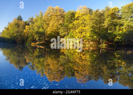 Ohre Fluss und herbstliche Sicht auf Wald Spiegelung auf Wasseroberfläche See Stockfoto