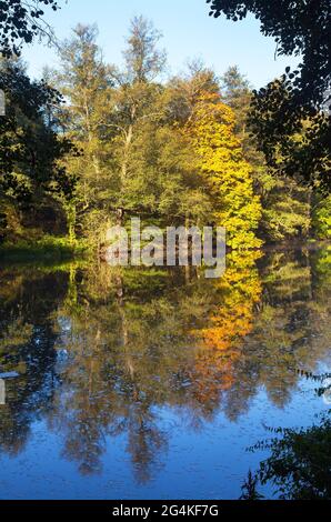 Ohre Fluss und herbstliche Sicht auf Wald Spiegelung auf Wasseroberfläche See Stockfoto