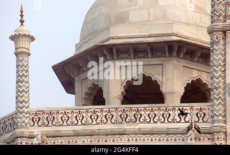 Taj Mahal, Detail der Marmorwand, das Beste der indischen historischen Sehenswürdigkeiten, UNESCO Stockfoto