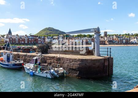 North Berwick Harbour an einem Sommertag 2021 Stockfoto