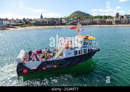 Das Touristenboot „The Sula“ verlässt den Hafen von North Berwick für eine Vergnügungsreise Stockfoto