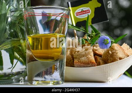 22. Juni 2021, Brandenburg, Dürrenhofe: Ein Glas Leinöl, Brot und Blüten aus dem Flachs ist auf einem Tisch bei der Pressekonferenz zur Öllinsaatblüte der Landwirtschaftsgenossenschaft Unterspreewald z.B. zu sehen Flachs, aus dem die Müller das Spreewälder Leinöl pressen, wächst auf rund 160 Hektar Ackerfläche im Spreewald. Aufgrund des warmen Wetters beginnen die Flachskulturen derzeit zu blühen. Der Leinsamen ist eine traditionelle Kultur des Spreewaldes. Die Produktion von Leinöl ist seit Generationen in der Region verwurzelt. Foto: Patrick Pleul/ Stockfoto