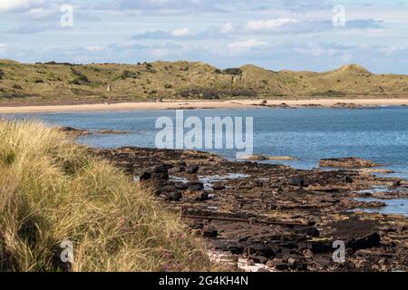 Sandstrand in der Nähe von Archerfield, North Berwick, East Lothian Stockfoto