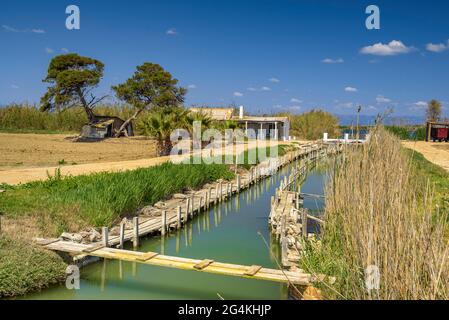 Vicenç Fischerei auf der Insel Buda im Ebro-Delta (Tarragona, Katalonien, Spanien) ESP: Pesquería d'en Vicenç, en la isla de Buda del Delta del Ebro Stockfoto