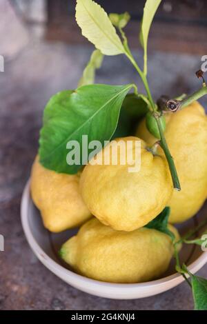 Sizilianische Zitronen in Töpferschale Stockfoto