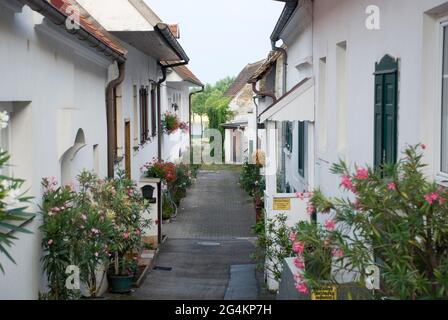 Typische Hinterhöfe von Häusern in Mörbisch, Burgenland Stockfoto