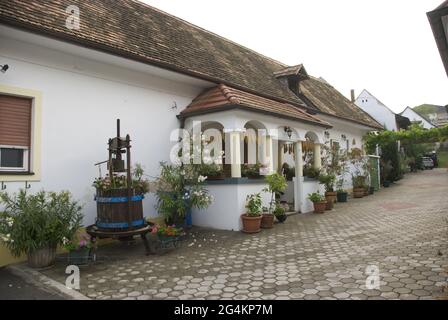 Typische Hinterhöfe von Häusern in Mörbisch, Burgenland Stockfoto