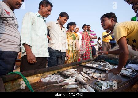 Angelaktivitäten von lokalen Fischern in Puri, Odisha, dem beliebtesten touristischen Strand im Osten Indiens. Touristen genießen und kaufen Fisch. Stockfoto