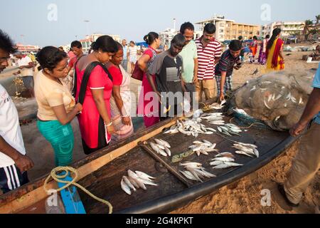 Angelaktivitäten von lokalen Fischern in Puri, Odisha, dem beliebtesten touristischen Strand im Osten Indiens. Touristen genießen und kaufen Fisch. Stockfoto