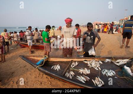 Angelaktivitäten von lokalen Fischern in Puri, Odisha, dem beliebtesten touristischen Strand im Osten Indiens. Touristen genießen und kaufen Fisch. Stockfoto
