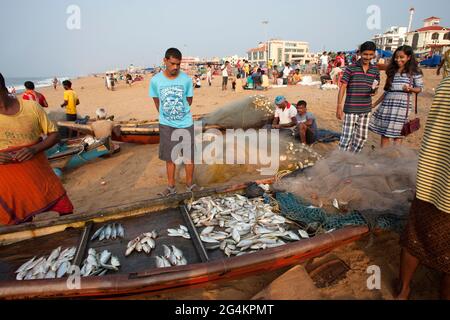 Angelaktivitäten von lokalen Fischern in Puri, Odisha, dem beliebtesten touristischen Strand im Osten Indiens. Touristen genießen und kaufen Fisch. Stockfoto