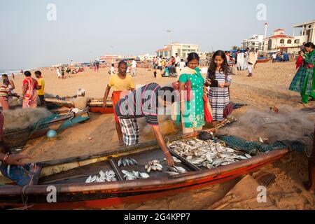 Angelaktivitäten von lokalen Fischern in Puri, Odisha, dem beliebtesten touristischen Strand im Osten Indiens. Touristen genießen und kaufen Fisch. Stockfoto