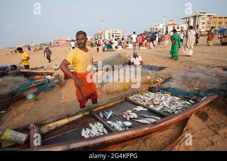 Angelaktivitäten von lokalen Fischern in Puri, Odisha, dem beliebtesten touristischen Strand im Osten Indiens. Stockfoto