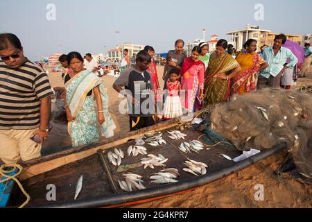 Angelaktivitäten von lokalen Fischern in Puri, Odisha, dem beliebtesten touristischen Strand im Osten Indiens. Touristen genießen und kaufen Fisch. Stockfoto