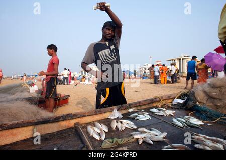 Angelaktivitäten von lokalen Fischern in Puri, Odisha, dem beliebtesten touristischen Strand im Osten Indiens. Stockfoto