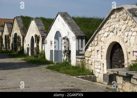 Berühmte Weinkeller der Kellergasse in Purbach, Burgenland Stockfoto