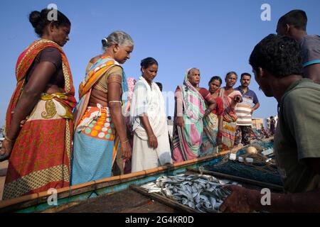 Fischer verkaufen ihren Fang am Strand von Puri, Odhisa, einem beliebten Touristenstrand in Indien. Lokale Frauen kaufen sie und verkaufen sie auf dem lokalen Markt. Stockfoto