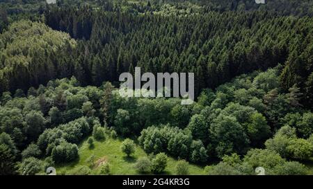 Herrliche Aussicht auf Nadelwälder und Laubwälder von oben, aus der Vogelperspektive. Stockfoto