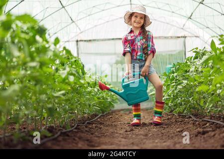 Kleines Mädchen, junge Farmerin mit bunten Stiefeln, die Tomatenpflanzen im Gewächshaus berühren Stockfoto