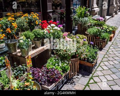 Kleiner Blumenladen in der Stadt Stockfoto