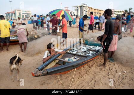 Angelaktivitäten von lokalen Fischern in Puri, Odisha, dem beliebtesten touristischen Strand im Osten Indiens. Stockfoto