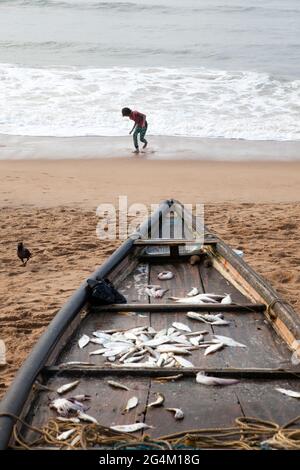 Angelaktivitäten von lokalen Fischern in Puri, Odisha, dem beliebtesten touristischen Strand im Osten Indiens. Stockfoto