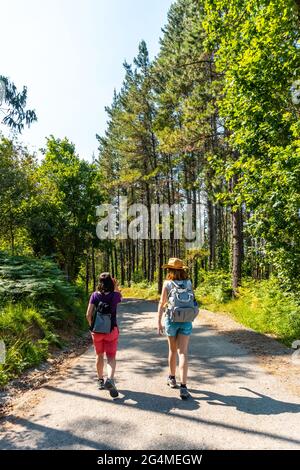 Die beiden Freunde, die den Urdaibai-Pfad entlang gehen, ein Biosphärenreservat von Bizkaia neben Mundaka. Baskenland Stockfoto