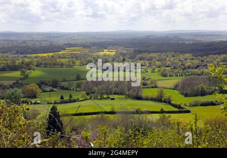 Der Blick von One Tree Hill Woodland, bei Sevenoaks, nach Süden über den Weald of Kent, England. Stockfoto