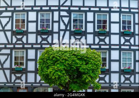 Historisches Linz an der Rine mit bunten Fachwerkhäusern, Rheinland-Pfalz, Gemrany Stockfoto