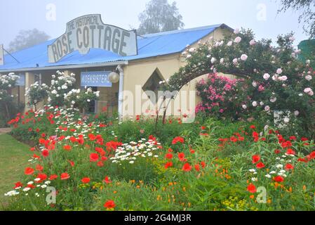 Südafrika Stockfoto